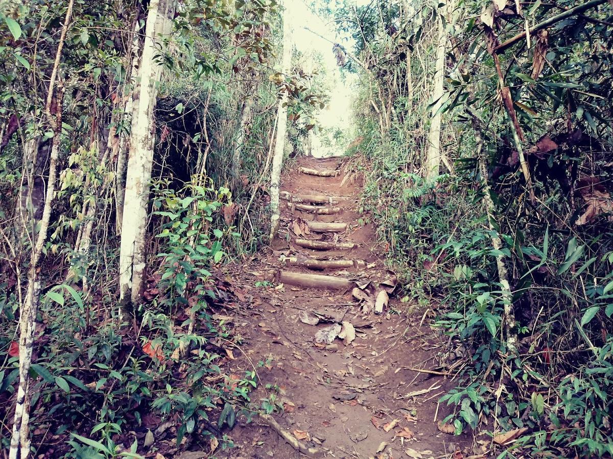 Canto Dos Passaros Nova Friburgo Exterior foto